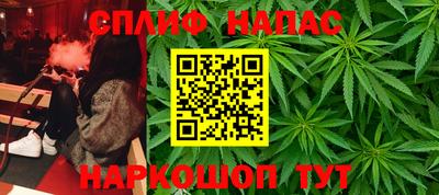 тгк Заводоуковск