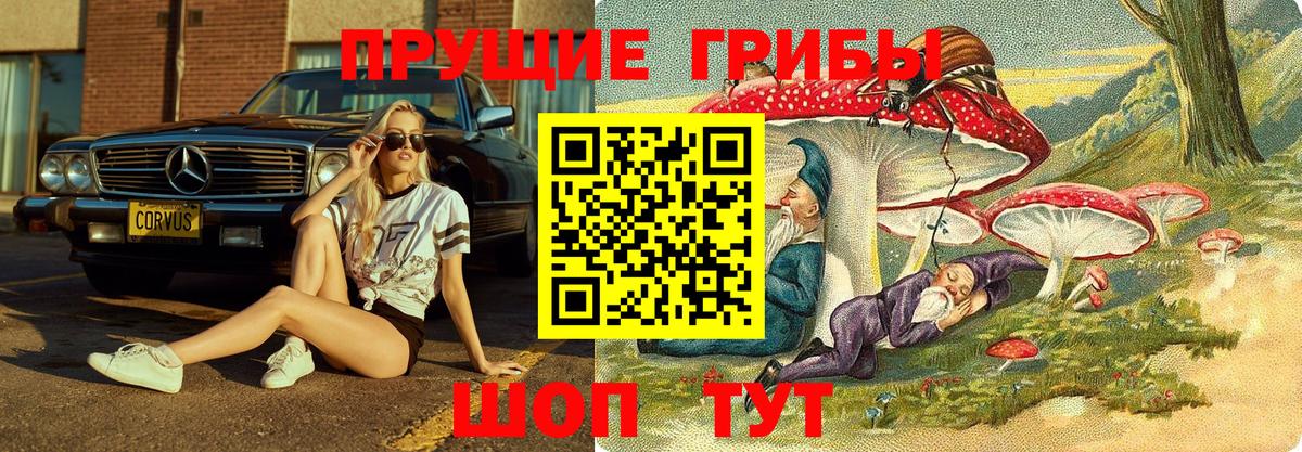 Галлюциногенные грибы прущие грибы  Вход с VPN  Кандалакша 