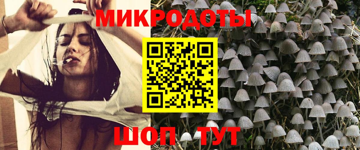 Галлюциногенные грибы ЛСД Кандалакша